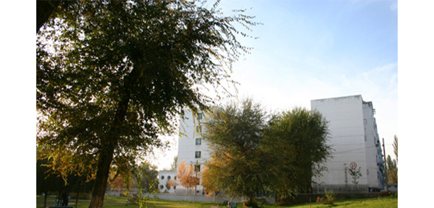 我的大學-大學志