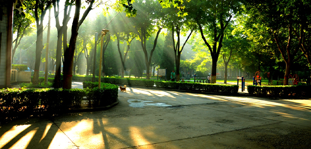 河北地質大學 - 最美大學