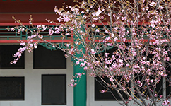 招生公告 · 招生簡章 · 招生計(jì)劃