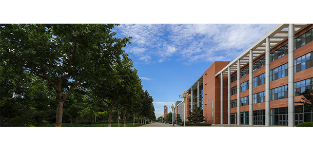 我的大學(xué)-大學(xué)志