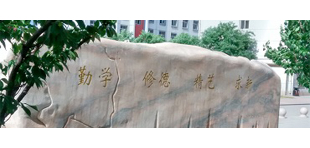 我的大學(xué)-大學(xué)志