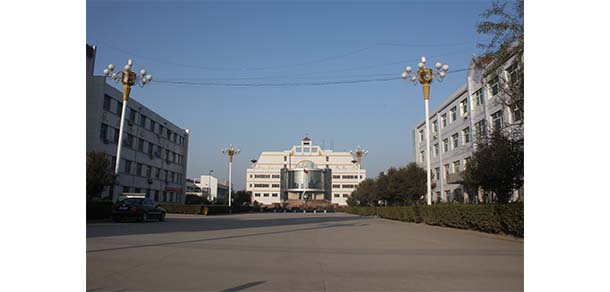 衡水職業(yè)技術(shù)學院