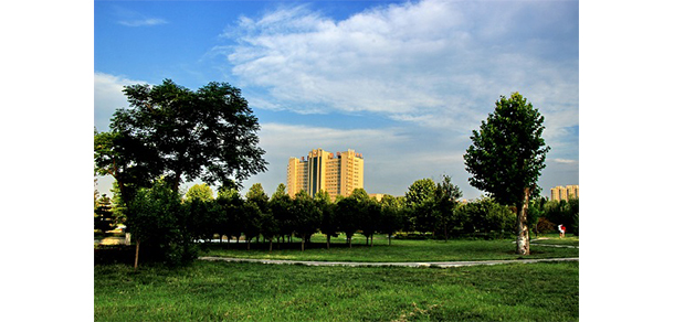 2022年招生分數(shù)