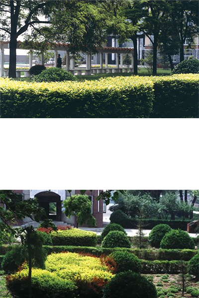 河北公安警察職業(yè)學院