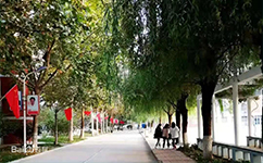河北女子職業(yè)技術(shù)學院 - 我的大學