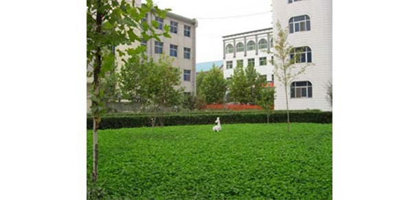 保定幼兒師范高等?？茖W(xué)校 - 最美院校