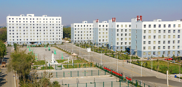 我的大學-大學志