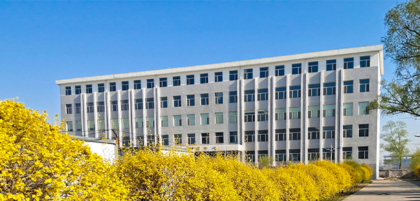 我的大學-大學志