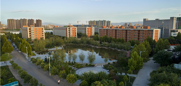 我的大學(xué)-大學(xué)志