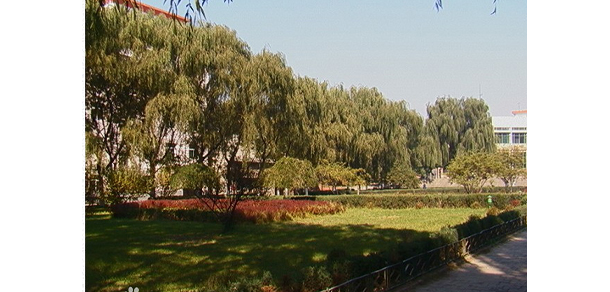 2022年招生分數(shù)
