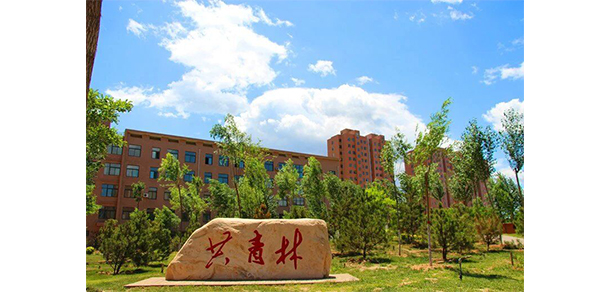 我的大學(xué)-大學(xué)志