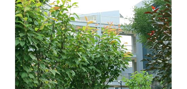 我的大學-大學志