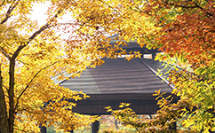 歷史沿革（概）校史
