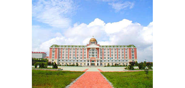 我的大學(xué)-大學(xué)志