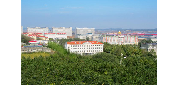 我的大學(xué)-大學(xué)志