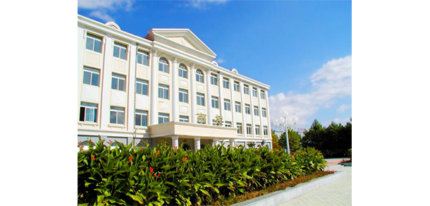 我的大學(xué)-大學(xué)志