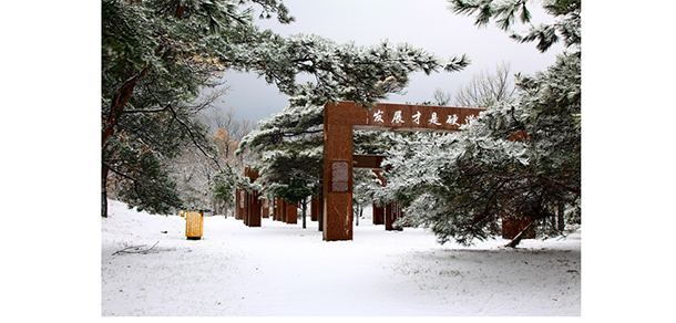 我的大學(xué)-大學(xué)志