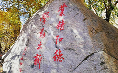 文化標(biāo)識(shí)：校名題寫(xiě) / 校徽設(shè)計(jì)
