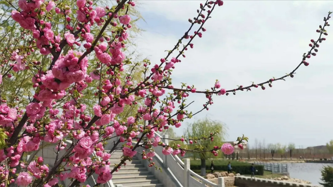 遼寧師范大學(xué)海華學(xué)院－2021年招生章程