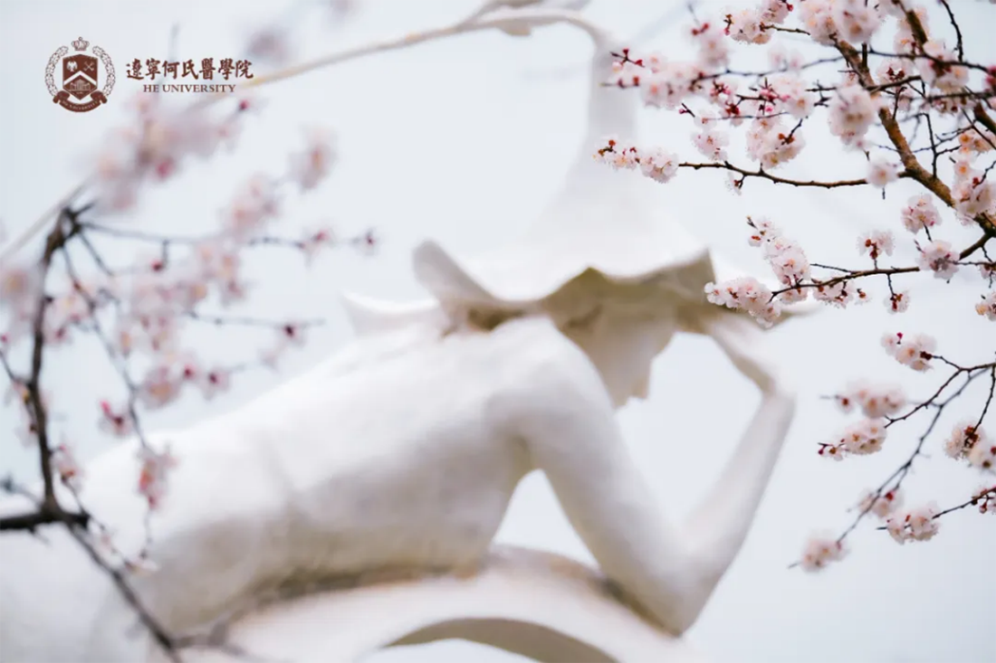 花事正盛，何氏的春天“鏡”這么美！