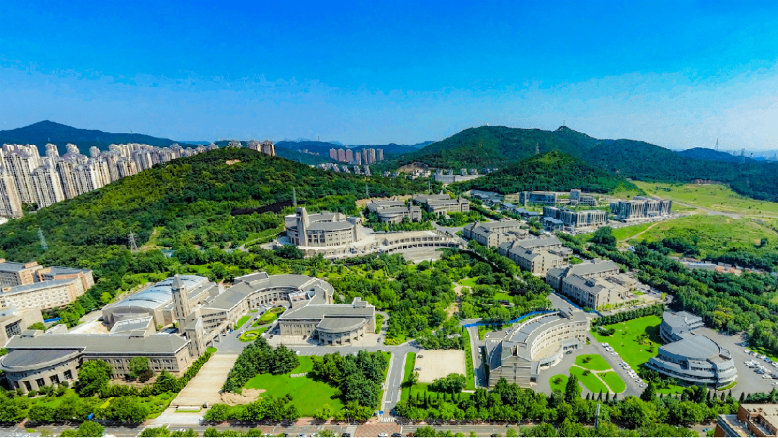 大連東軟信息學(xué)院2025年分省分專(zhuān)業(yè)招生計(jì)劃