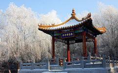 歷史沿革（概）校史