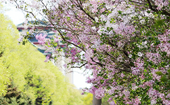 招生公告 · 招生簡章 · 招生計劃