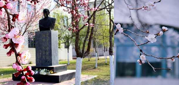 我的大學(xué)-大學(xué)志