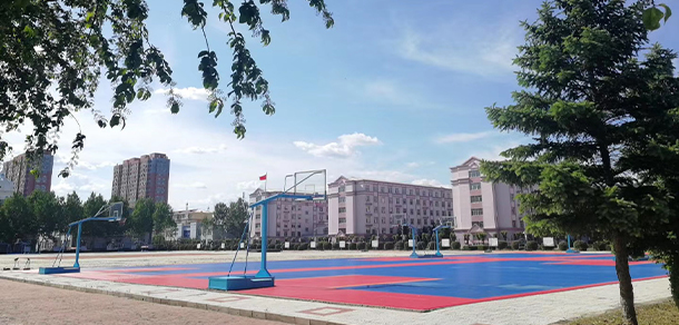 我的大學-大學志