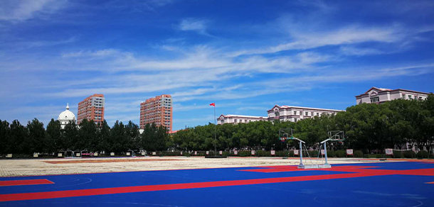 我的大學-大學志