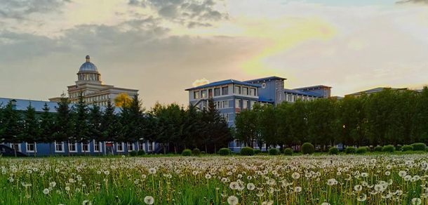 伊春職業(yè)學院