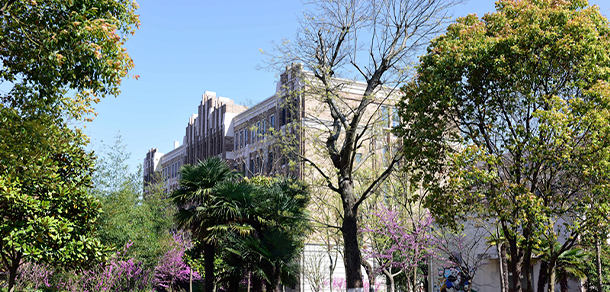 2021年招生分數(shù)