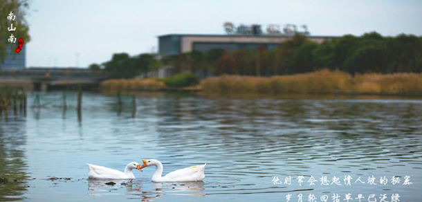 2022年招生簡(jiǎn)章